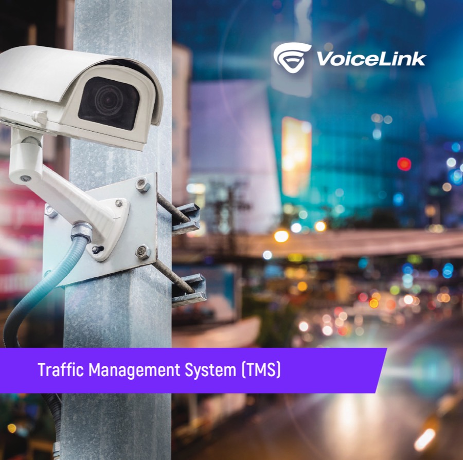  Traffic Managment System